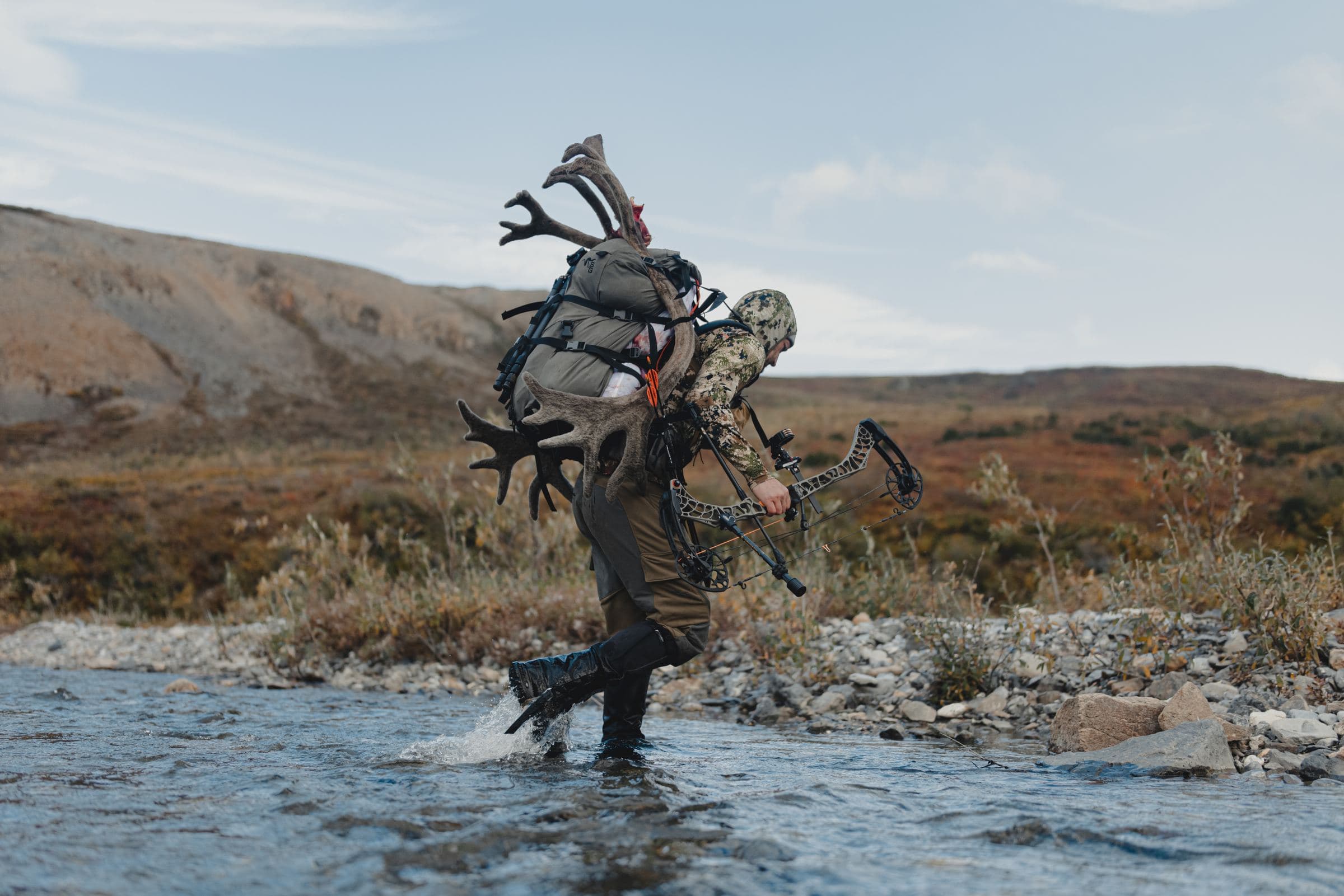 Hunter carrying caribou antlers on his pack wades across a shallow river