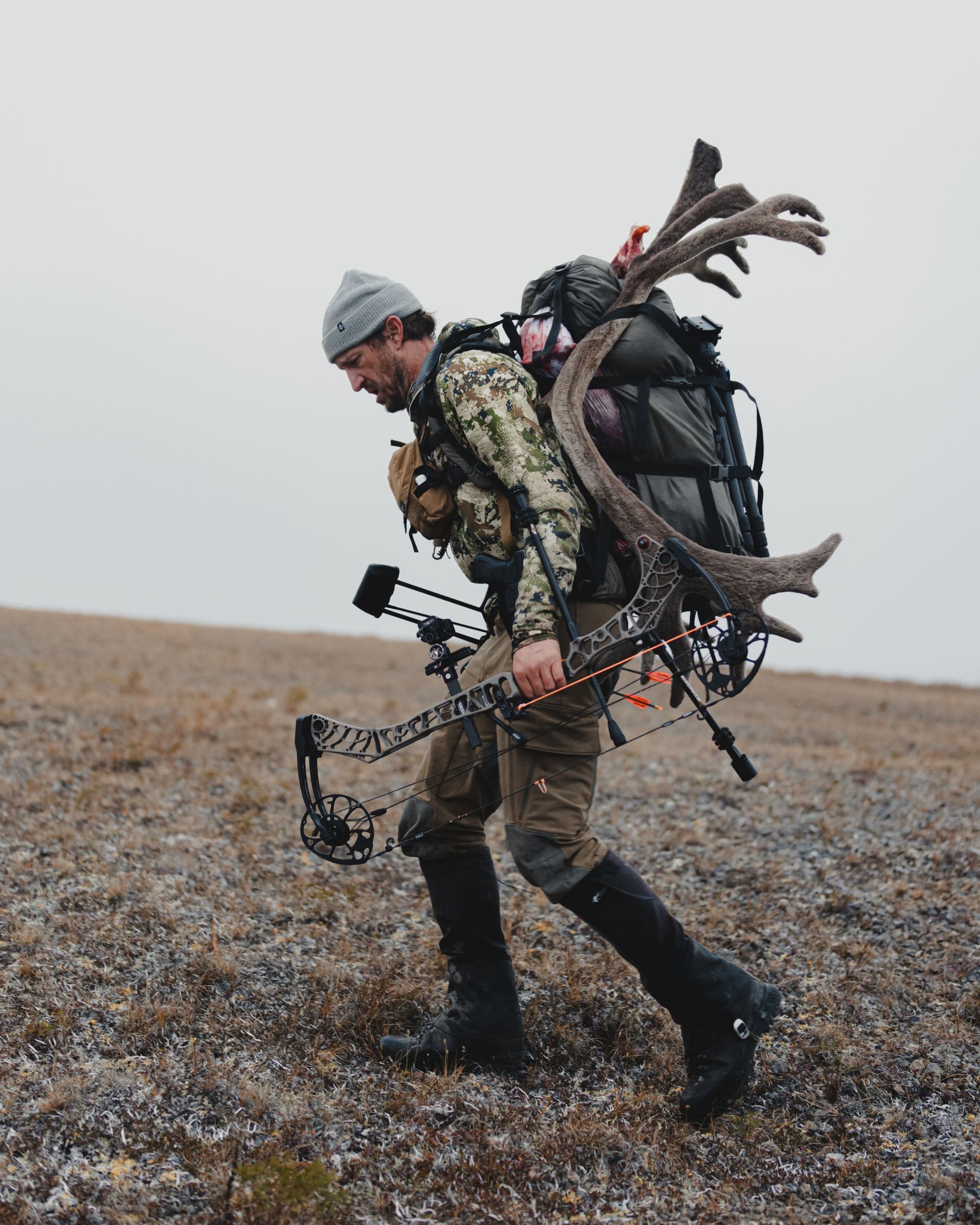 Bowhunter packs caribou antlers across open tundra