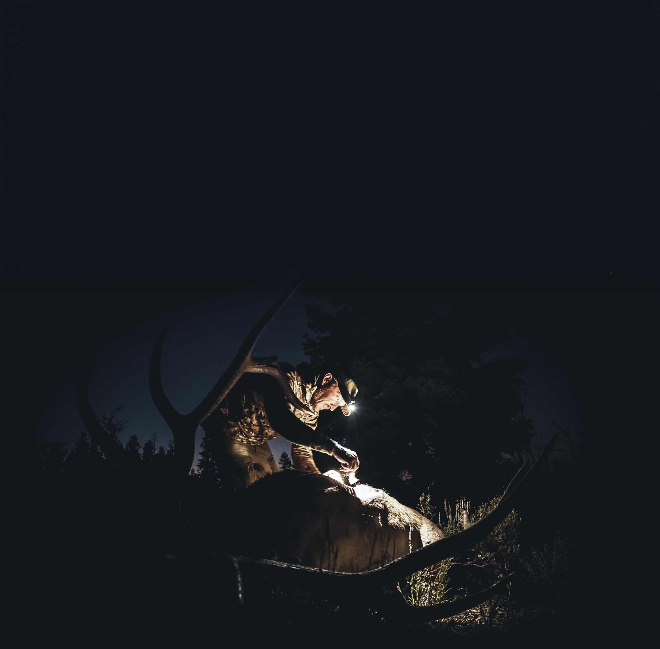Nearly black frame of a hunter with a headlamp beside an elk